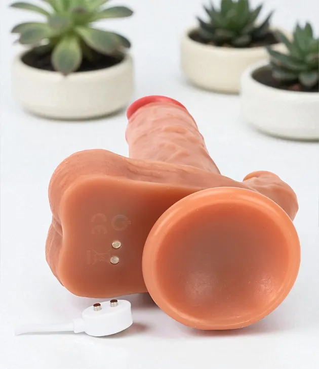 Badshah Pulse - Image 3