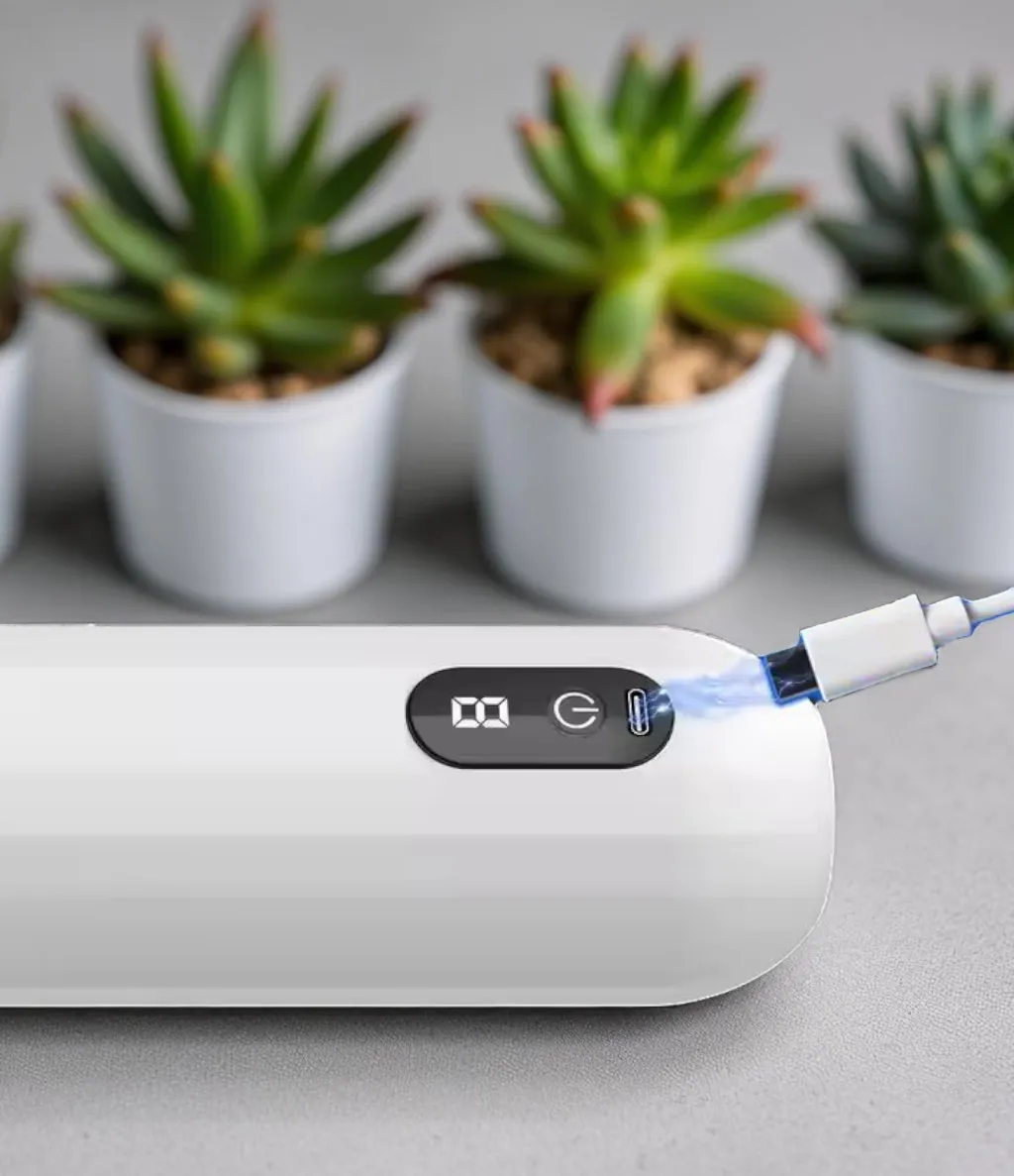 Chandni’s Charm - Image 5