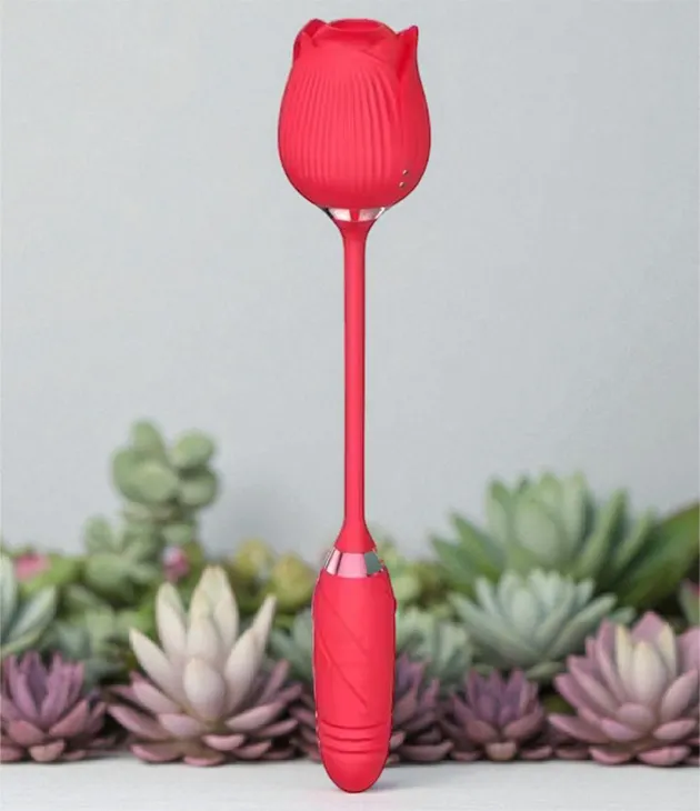 Eternal Rose - Image 2