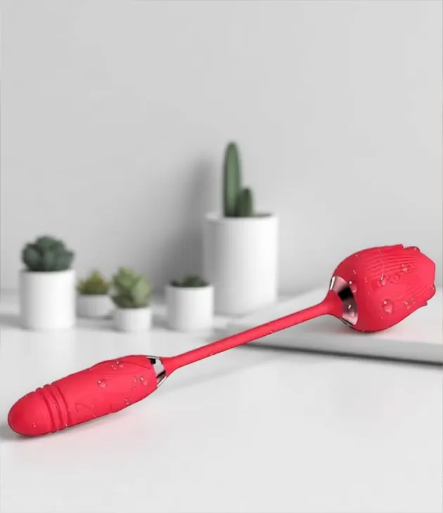 Eternal Rose - Image 4