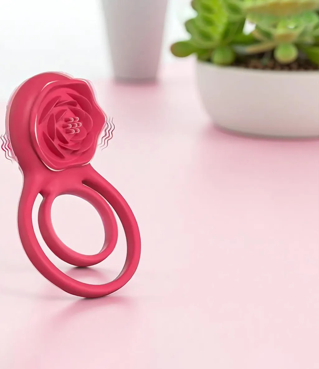 Raja Rani Vibe - Image 4