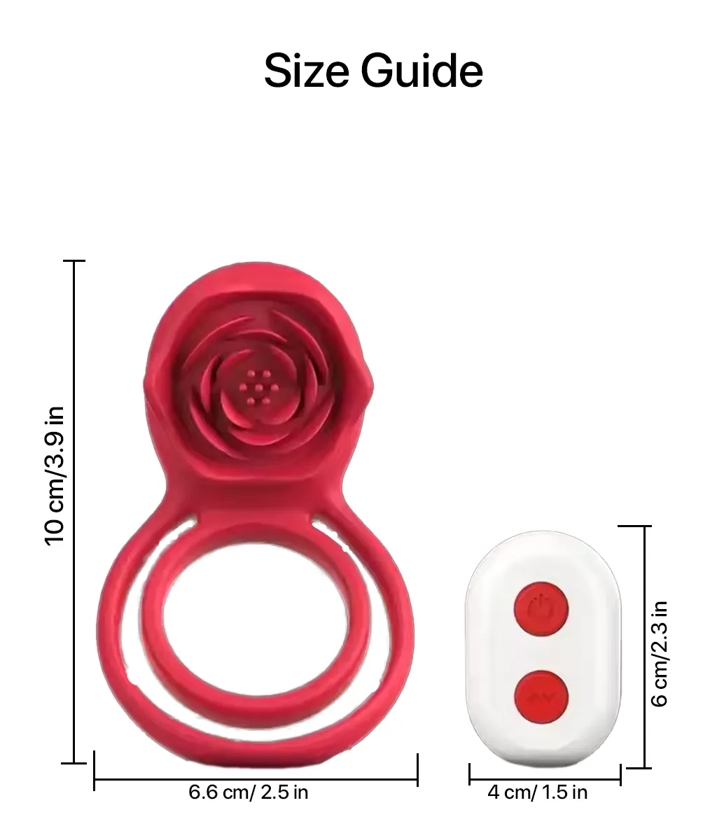 Raja Rani Vibe - Image 8